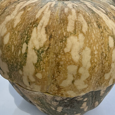 Green Pumpkin