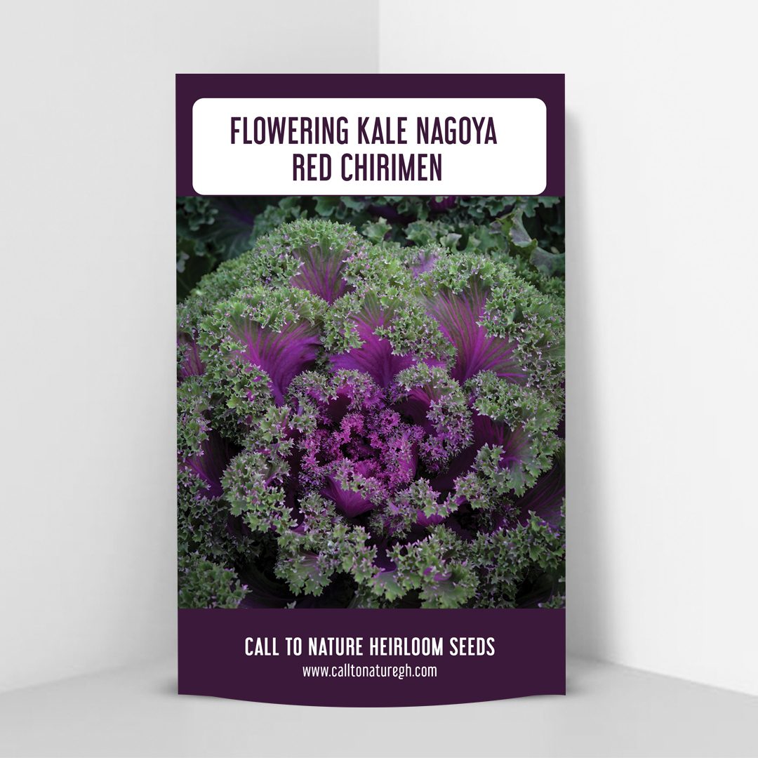 Pack-flowering-kale